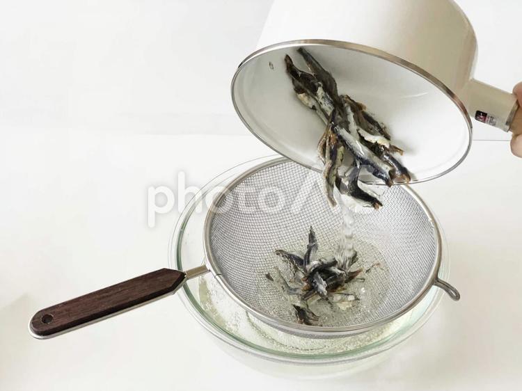 展示中の生き物たち